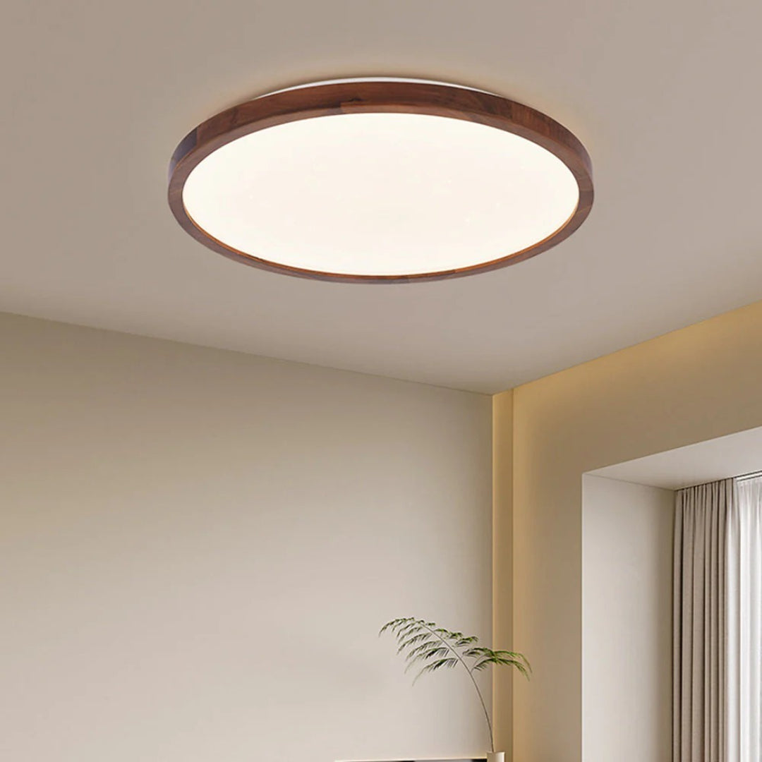 Moderne Moon LED Plafondlamp