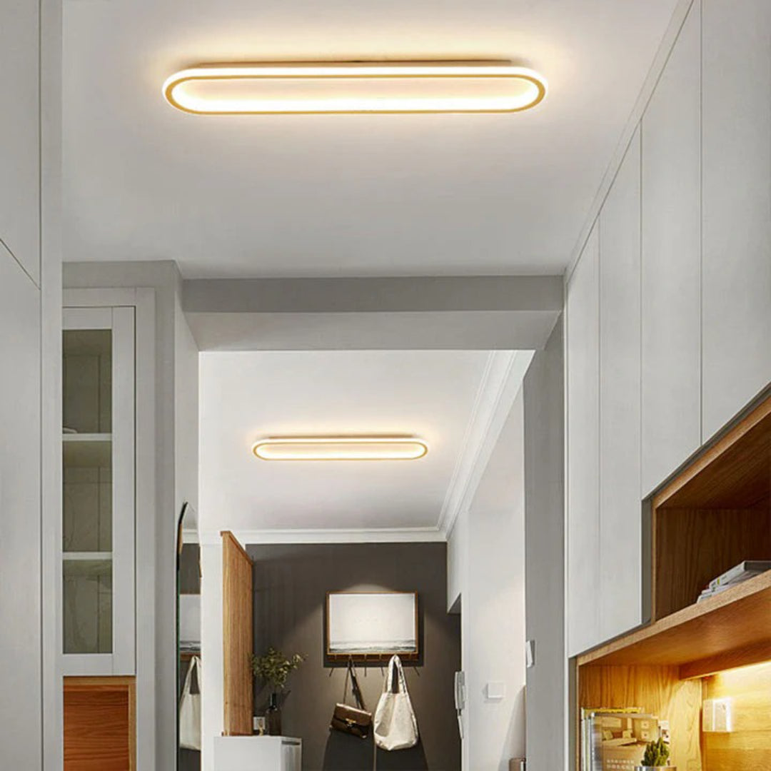 Moderne Ovale LED Plafondlamp