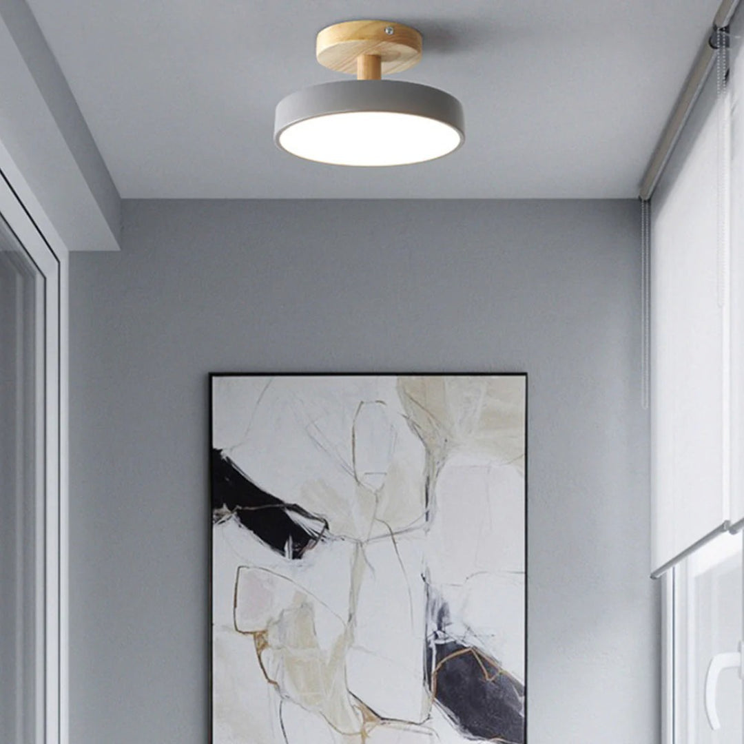 Hedendaagse ronde plafondlamp