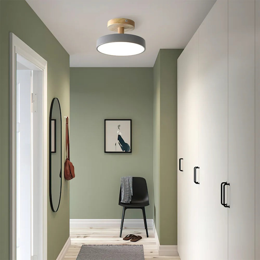 Hedendaagse ronde plafondlamp