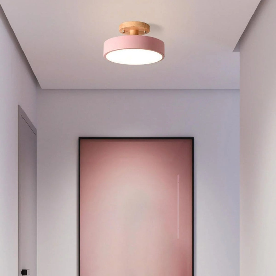 Hedendaagse ronde plafondlamp
