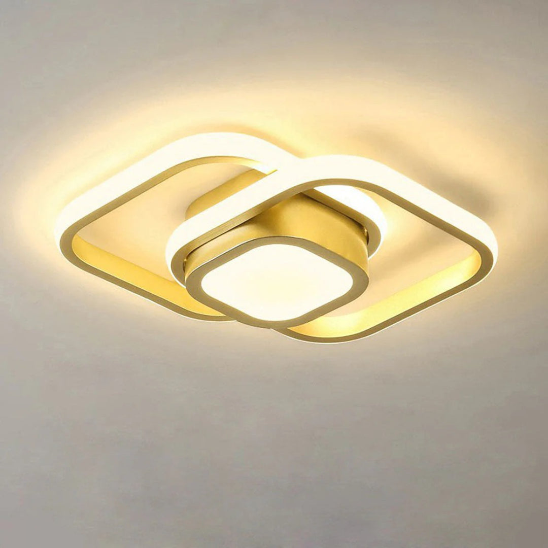 Hedendaagse Dubbele Ring Plafondlamp