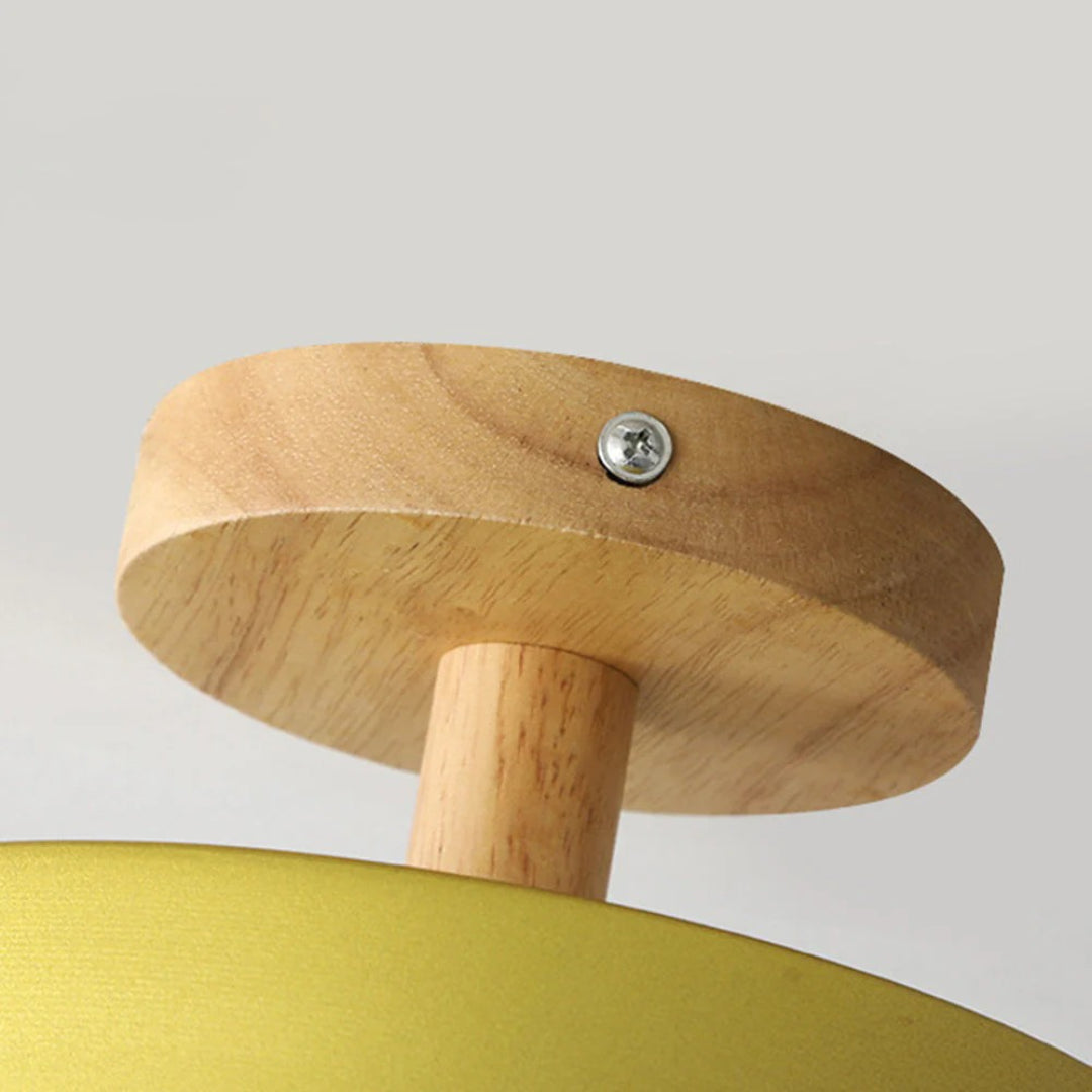 Hedendaagse ronde plafondlamp