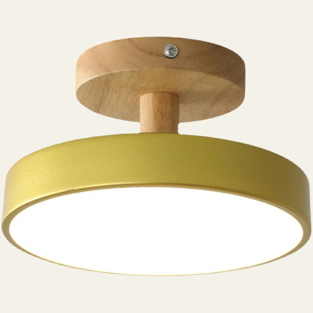 Hedendaagse ronde plafondlamp
