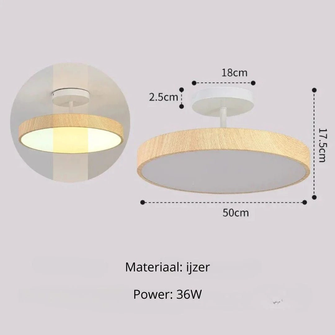 Hedendaagse ronde plafondlamp
