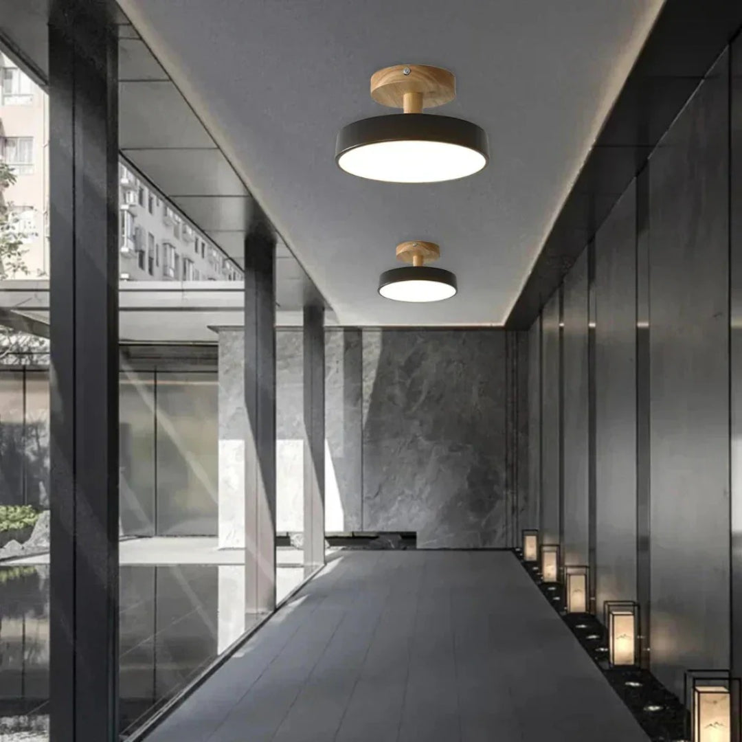 Hedendaagse ronde plafondlamp