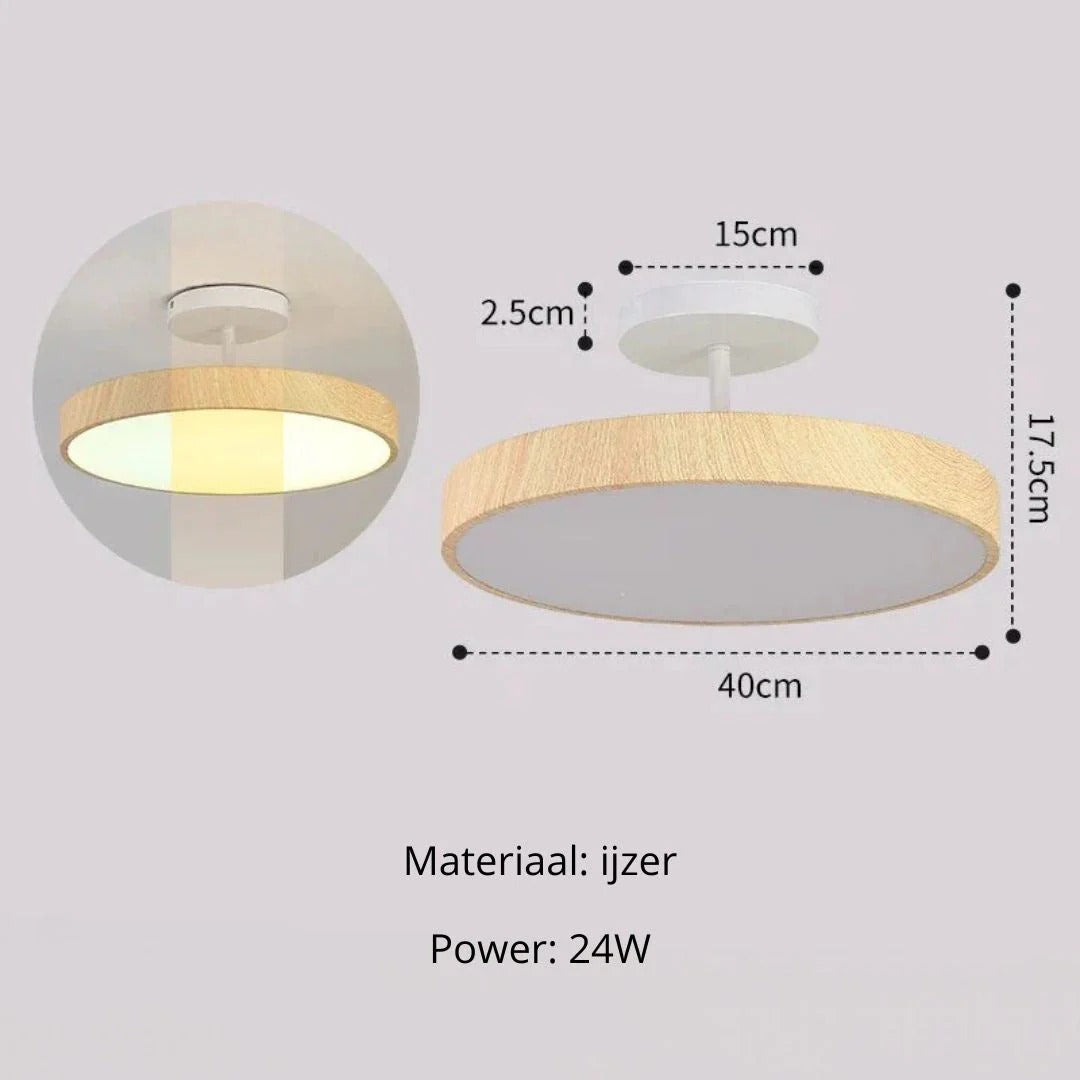 Hedendaagse ronde plafondlamp