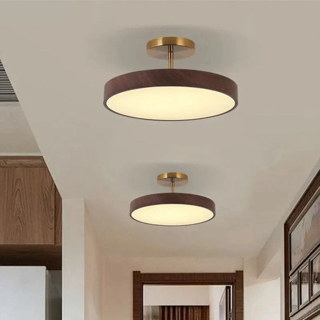 Hedendaagse ronde plafondlamp