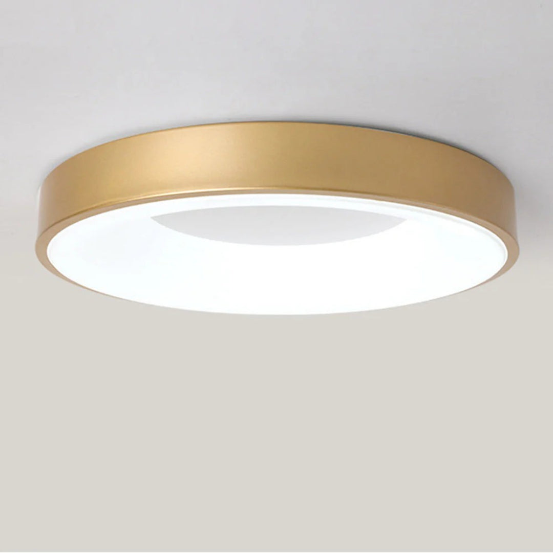 Minimalistische Ronde Acryl Plafondlamp