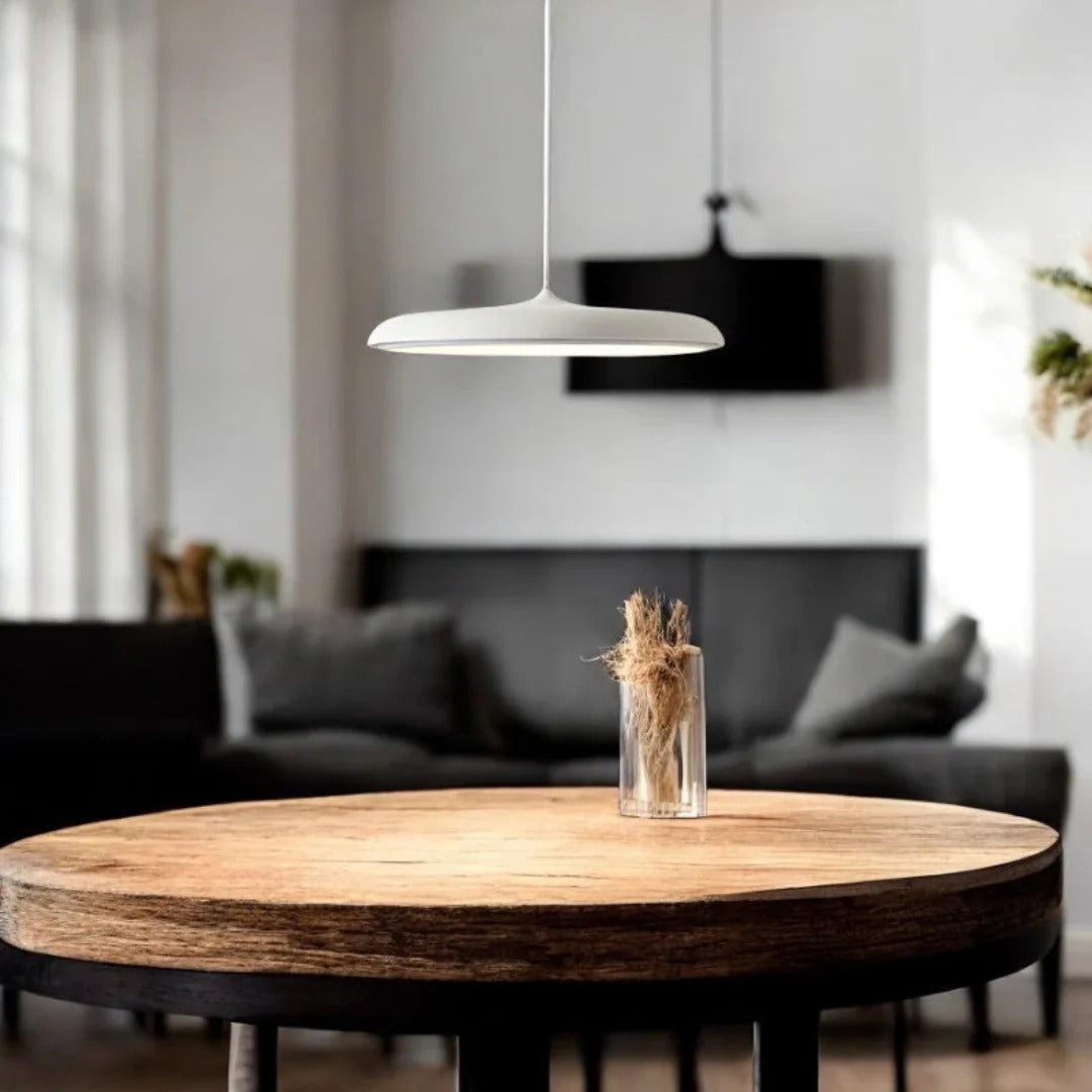 Minimalistische Ronde Metalen Hanglamp