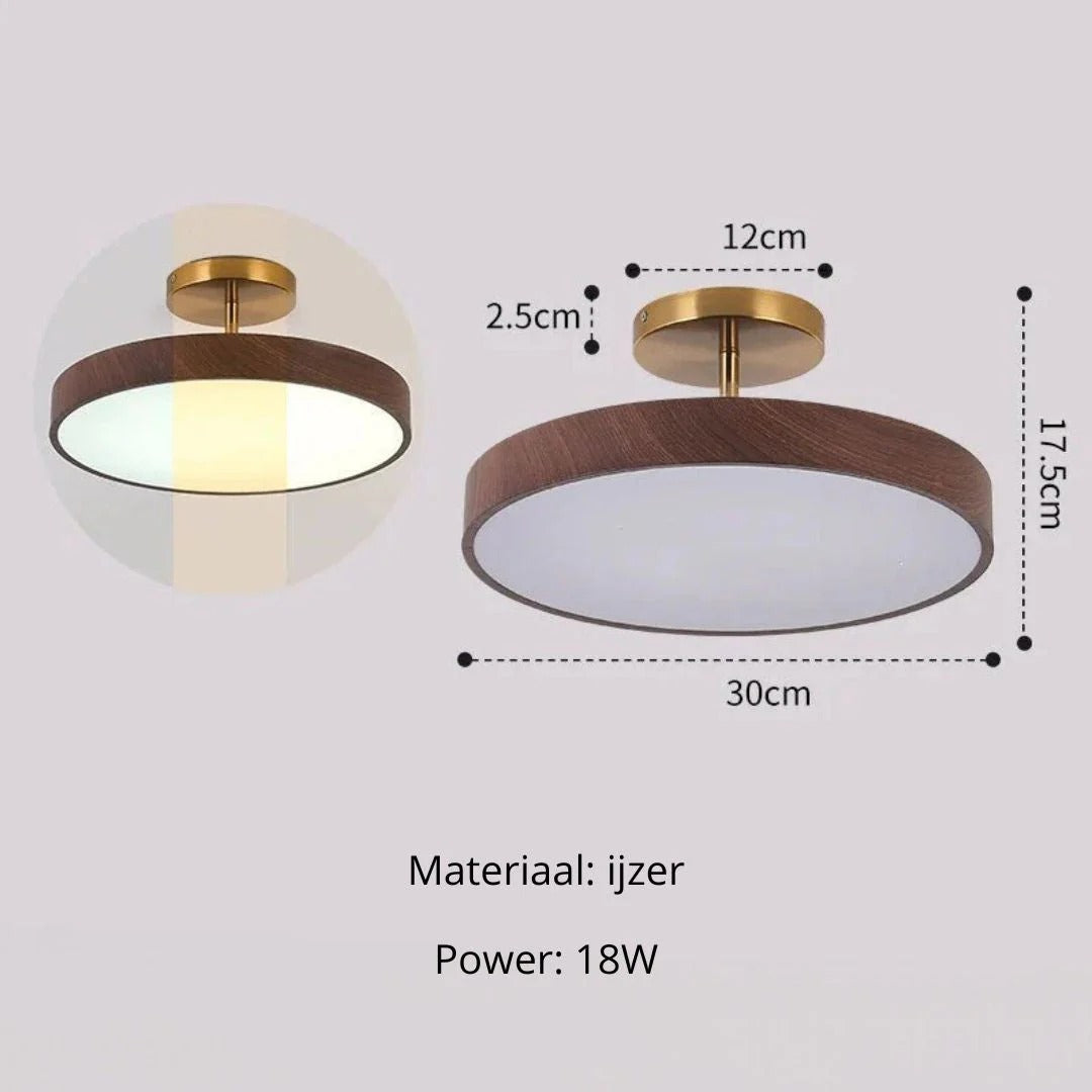 Hedendaagse ronde plafondlamp