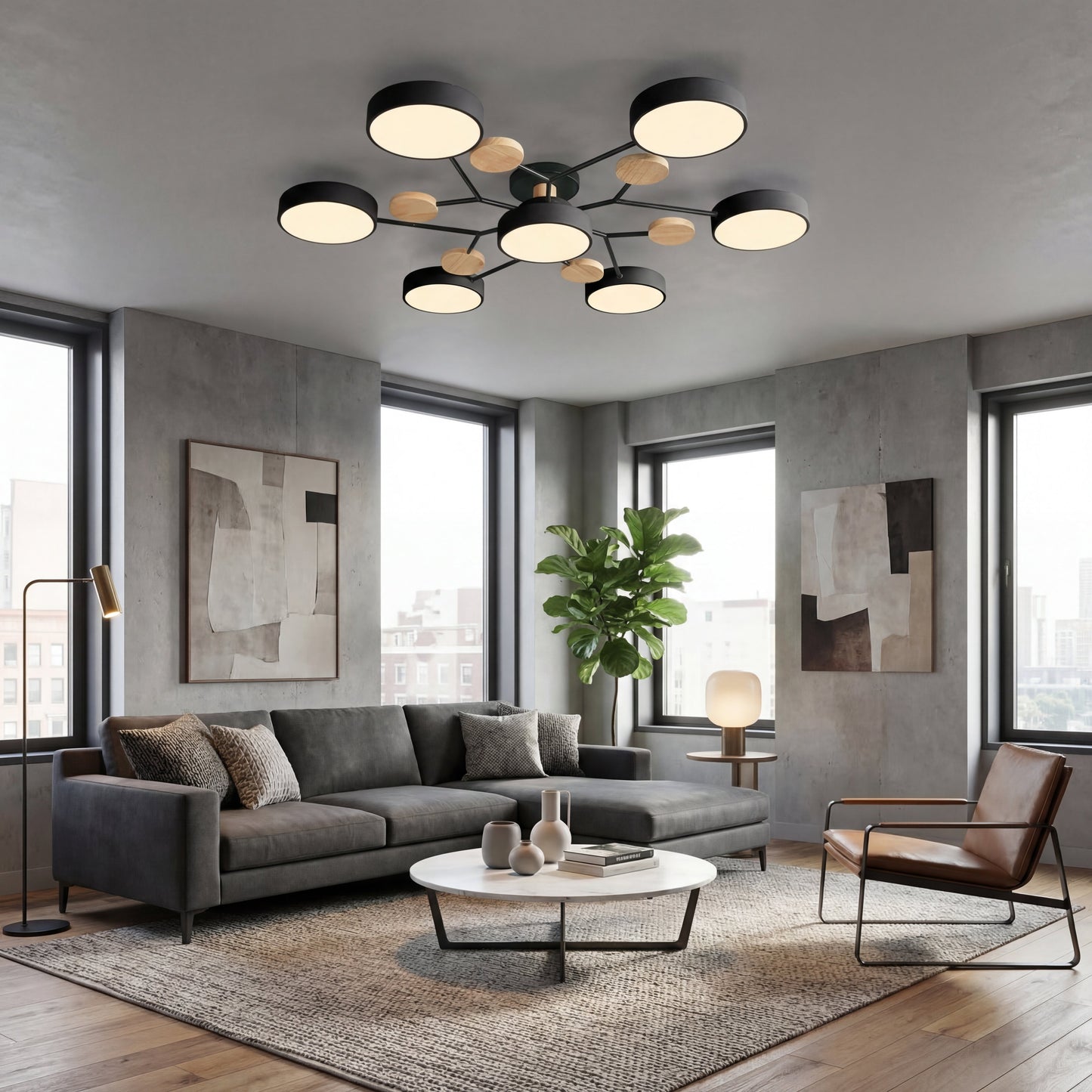 Moderne IJzeren LED Plafondlamp