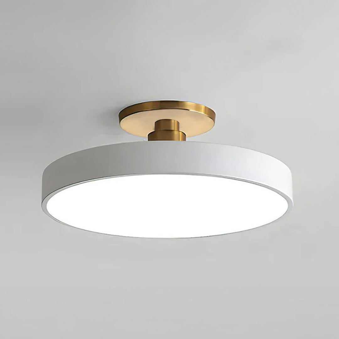 Moderne Metalen LED Plafondlamp