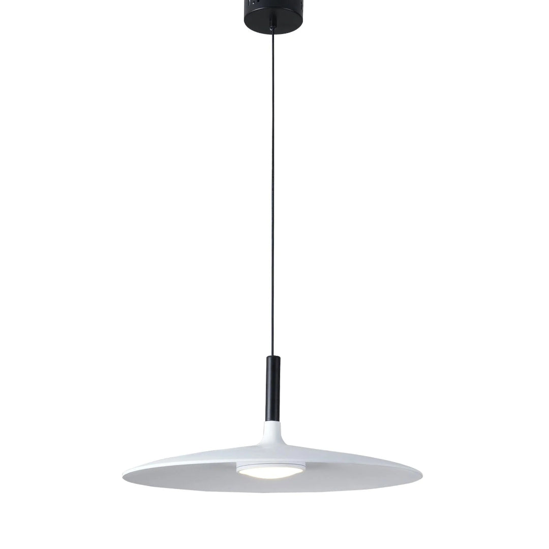 Moderne Metalen Hanglamp