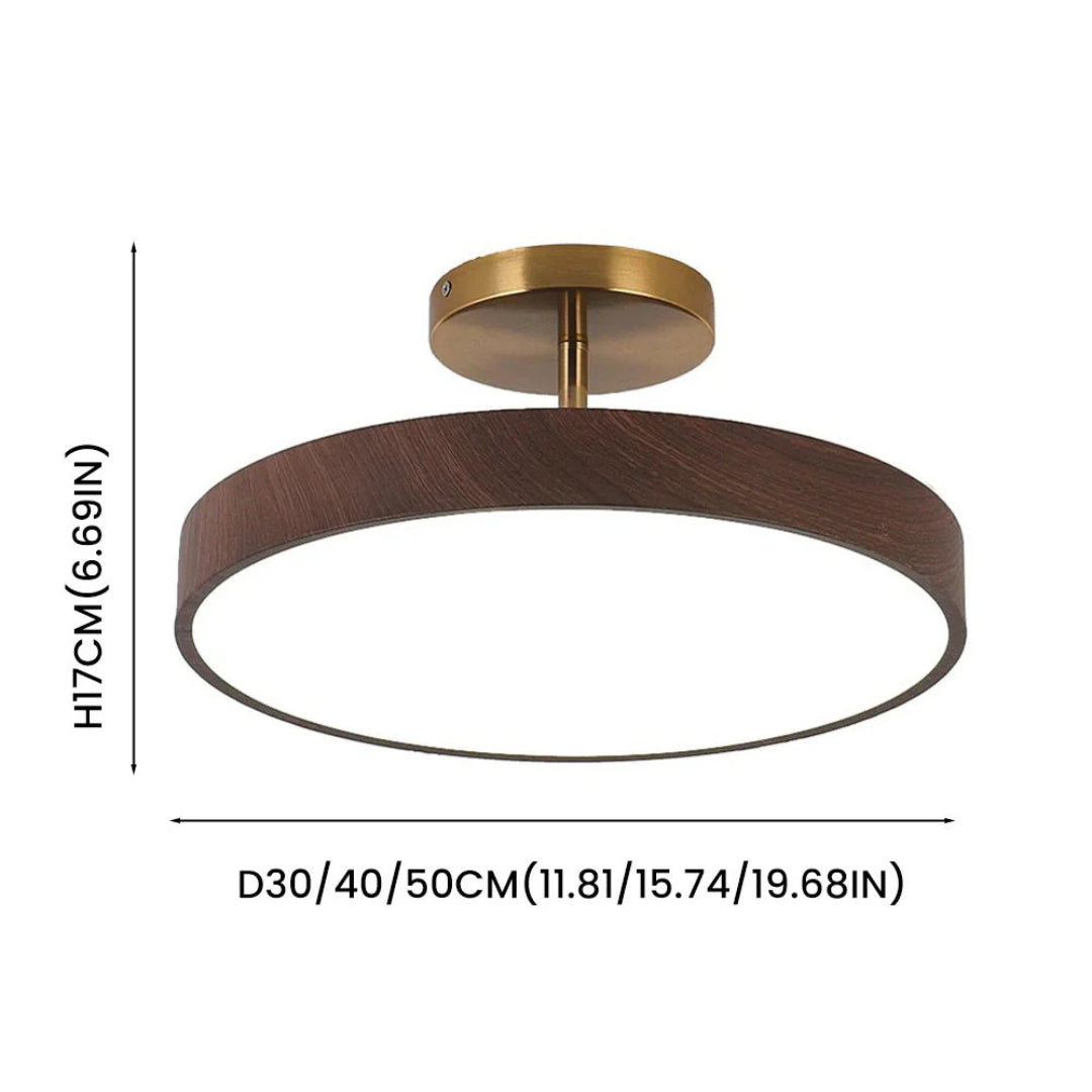 Hedendaagse ronde plafondlamp