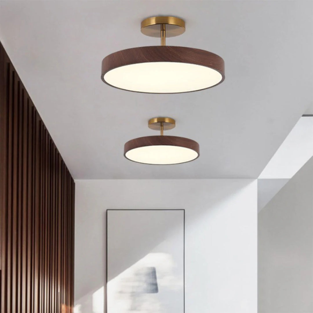 Hedendaagse ronde plafondlamp