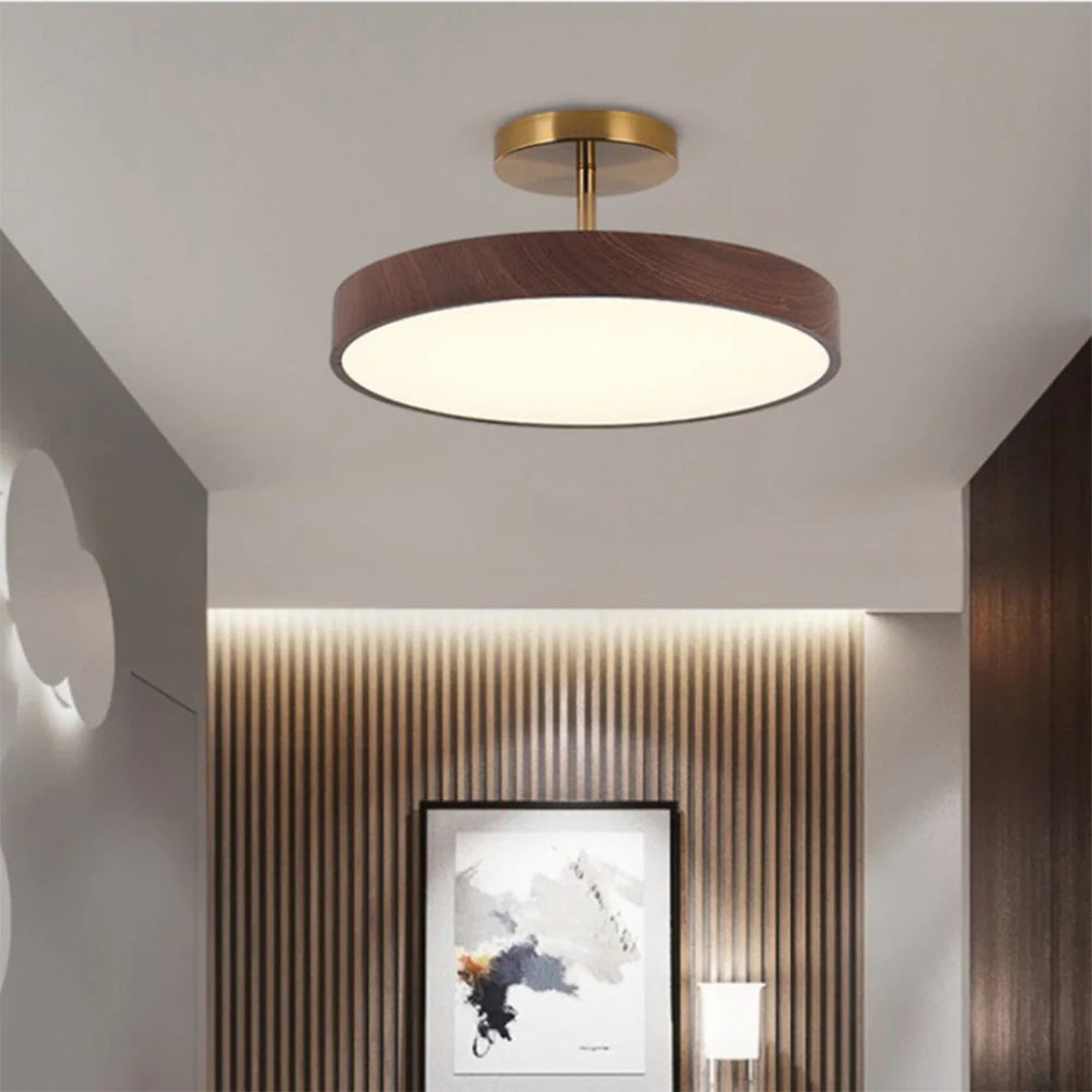 Hedendaagse ronde plafondlamp