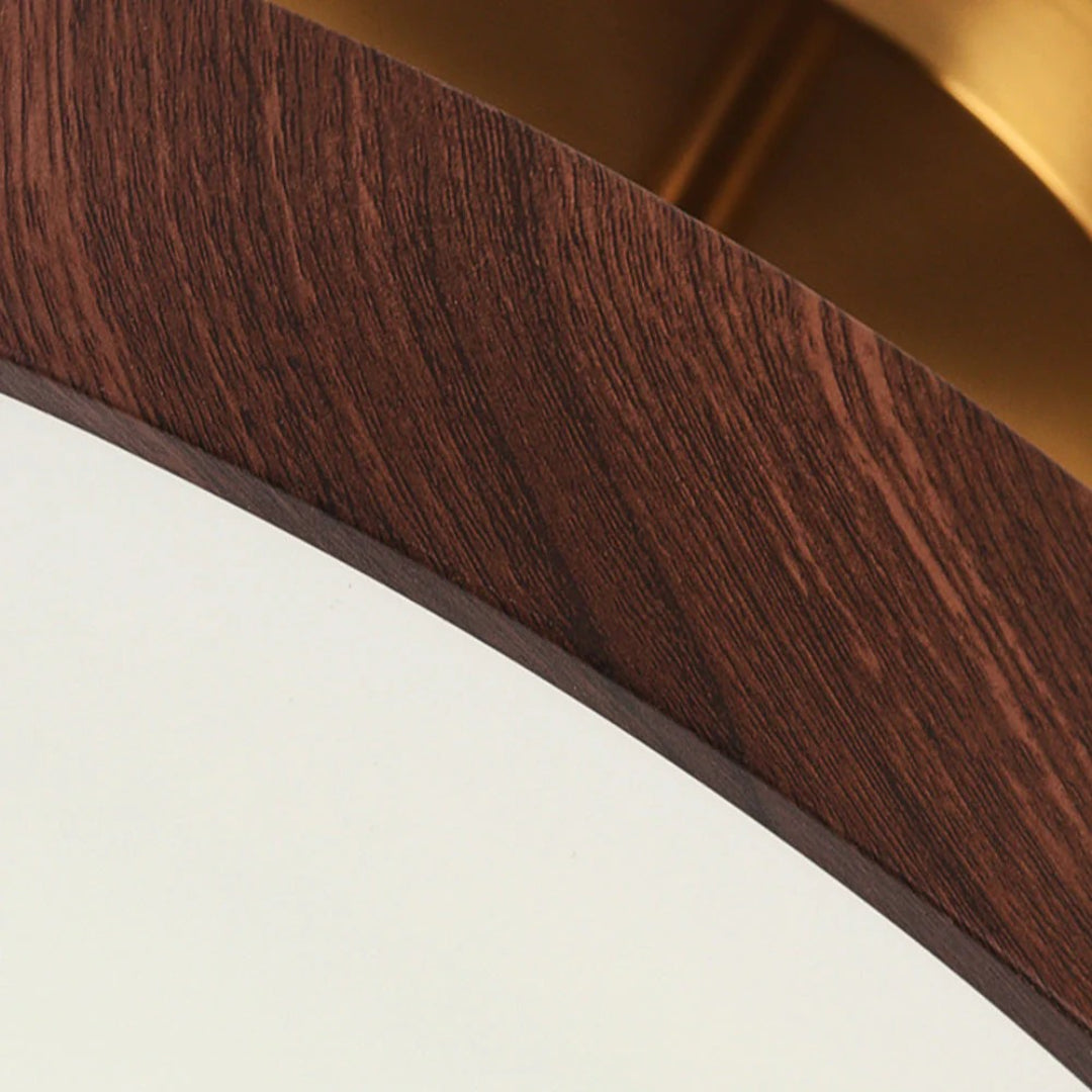 Hedendaagse ronde plafondlamp