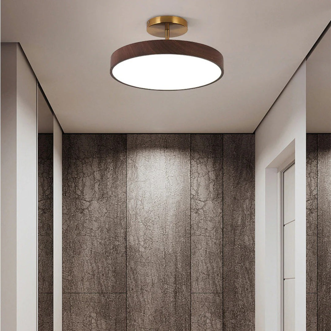 Hedendaagse ronde plafondlamp