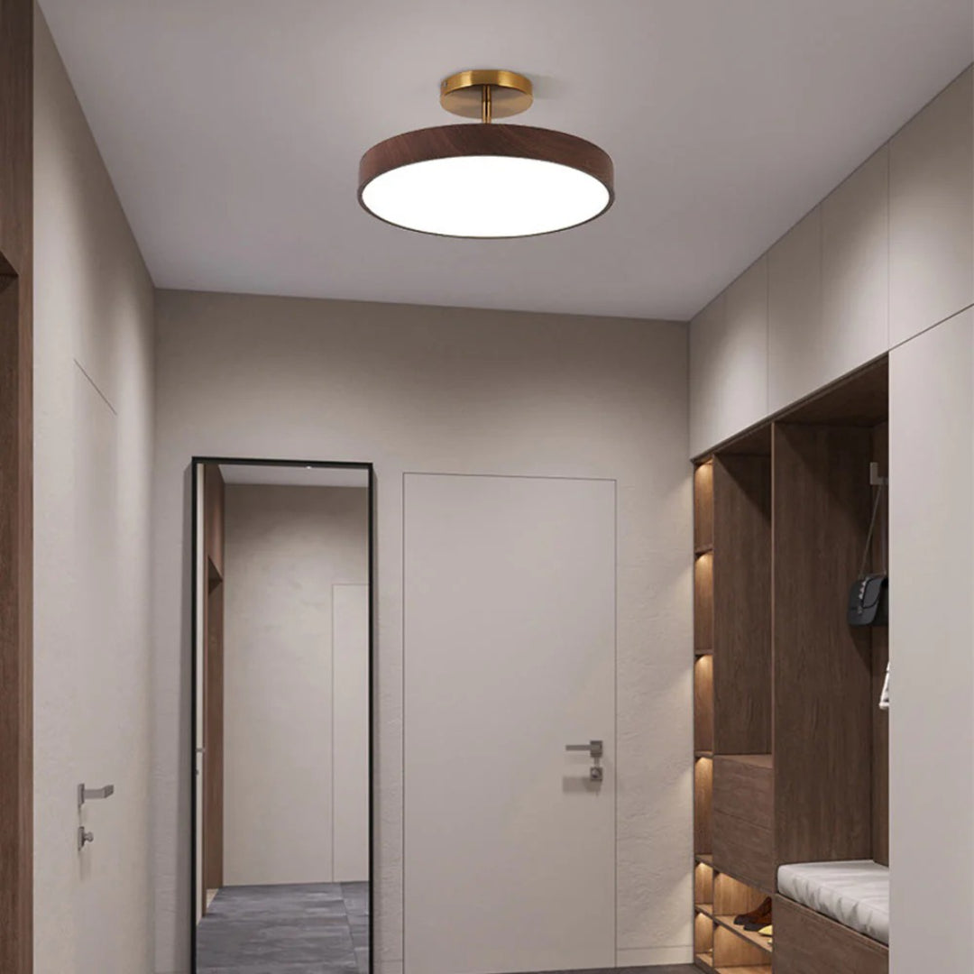 Hedendaagse ronde plafondlamp