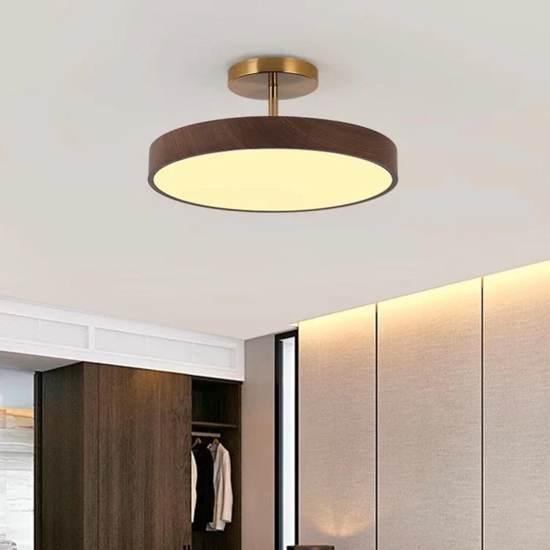Hedendaagse ronde plafondlamp