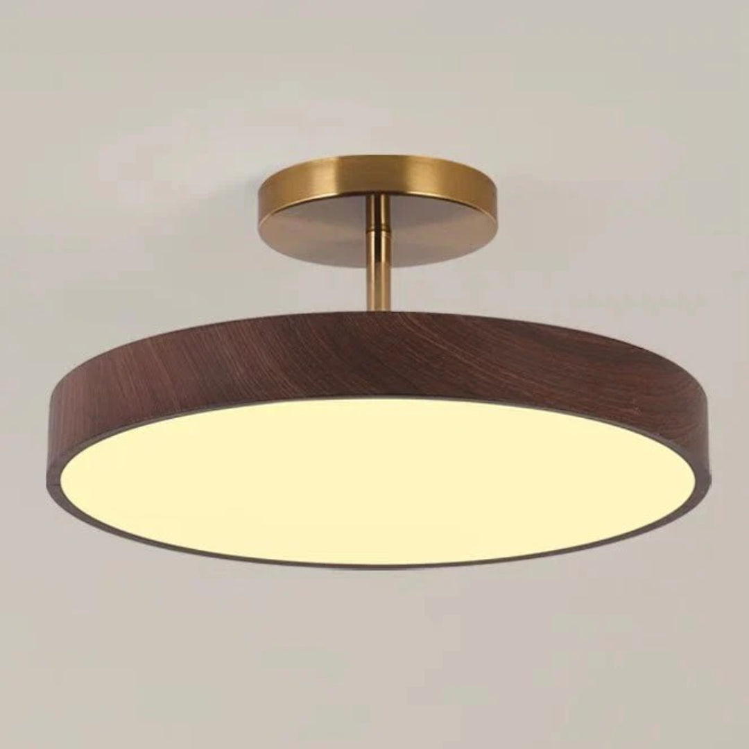 Hedendaagse ronde plafondlamp