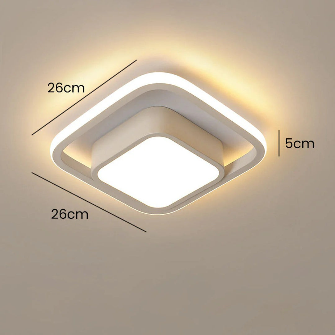 Hedendaagse Dubbele Ring Plafondlamp