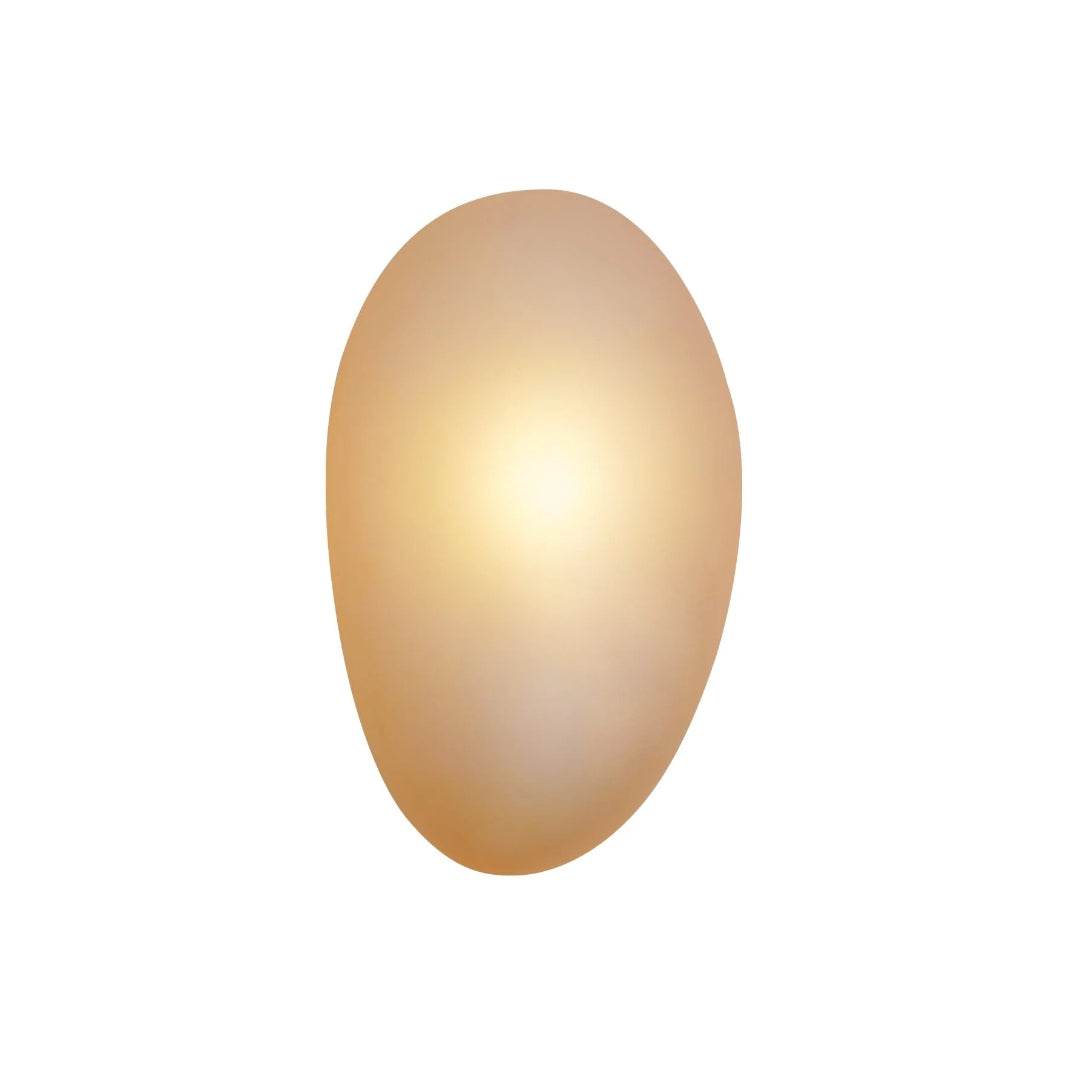 Ovale Glazen Wandlamp