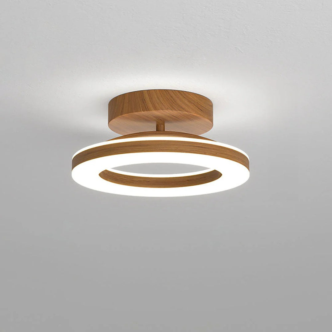 Scandinavische LED Plafondlamp