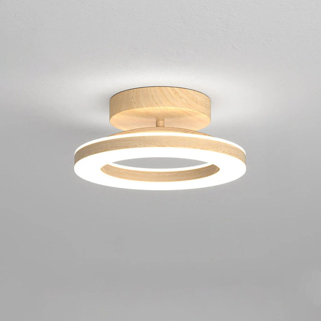 Scandinavische LED Plafondlamp