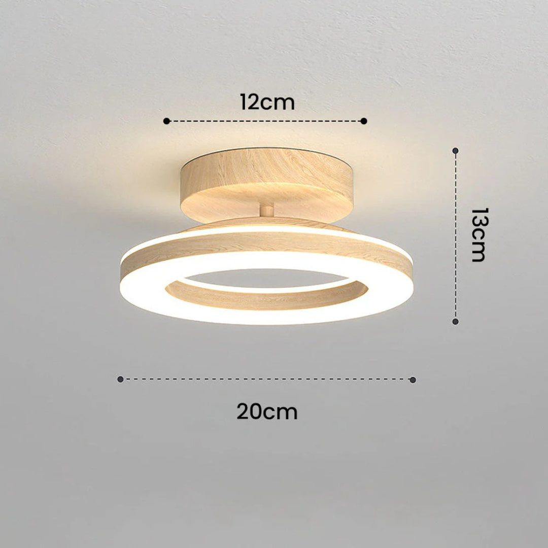 Scandinavische LED Plafondlamp