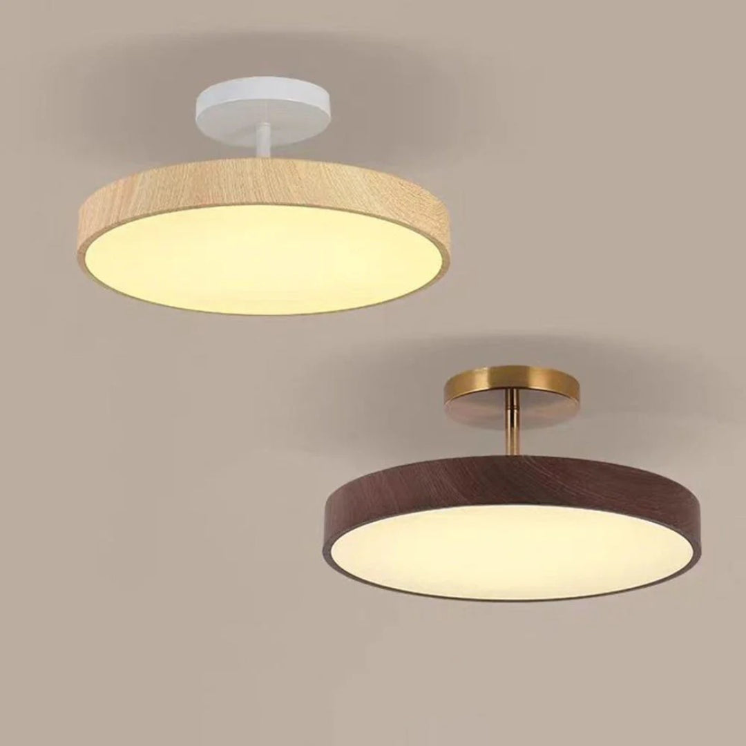 Hedendaagse ronde plafondlamp