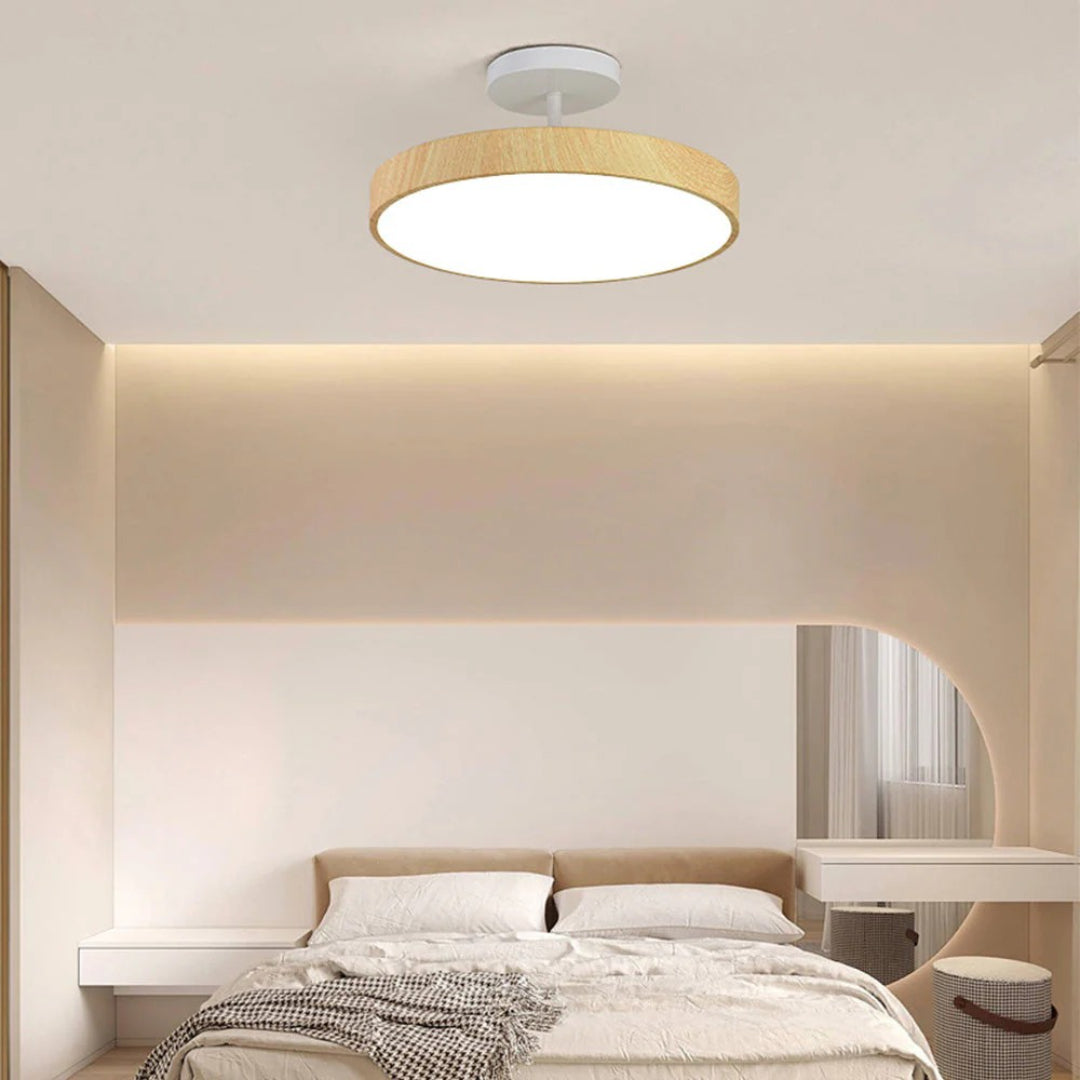 Hedendaagse ronde plafondlamp