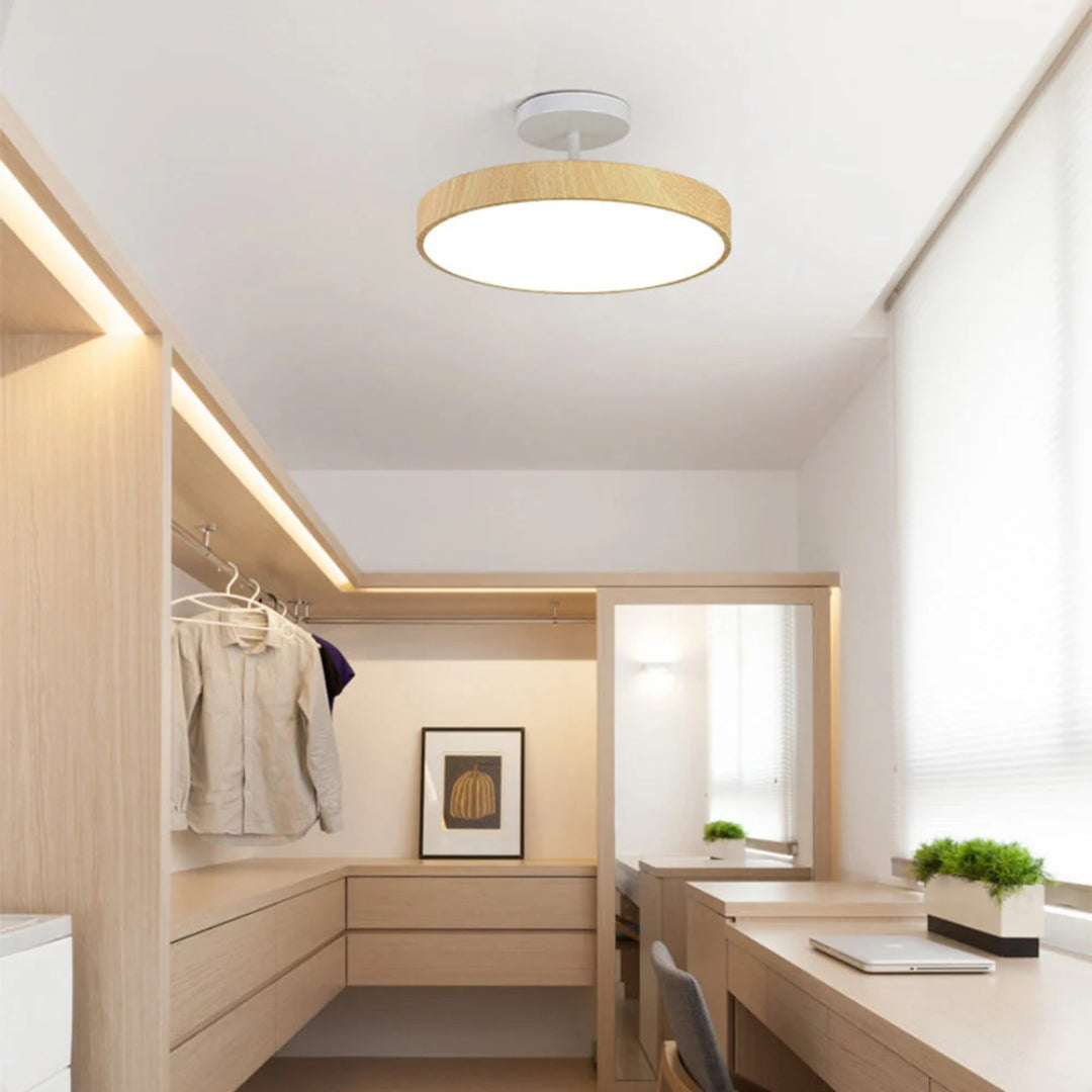 Hedendaagse ronde plafondlamp