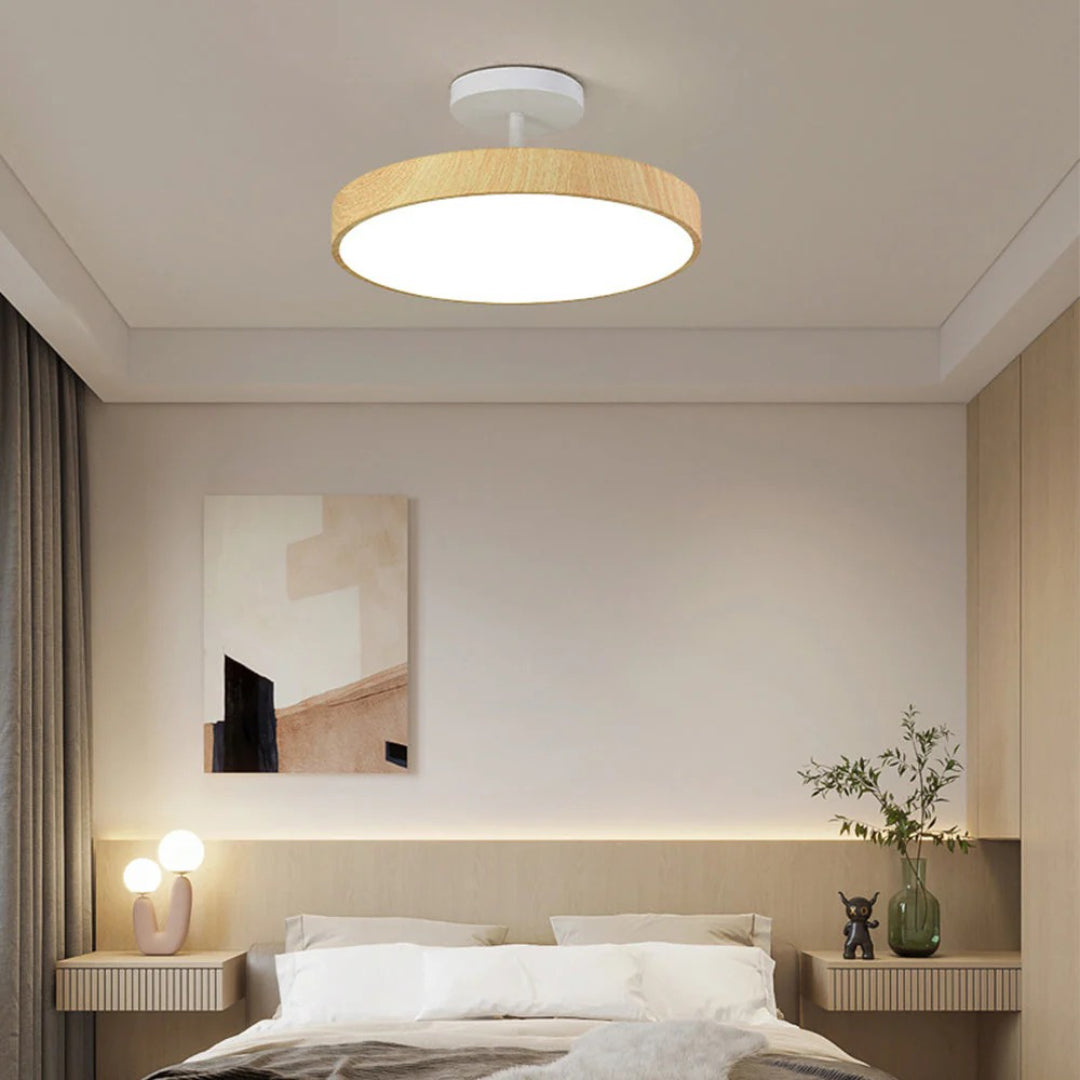 Hedendaagse ronde plafondlamp