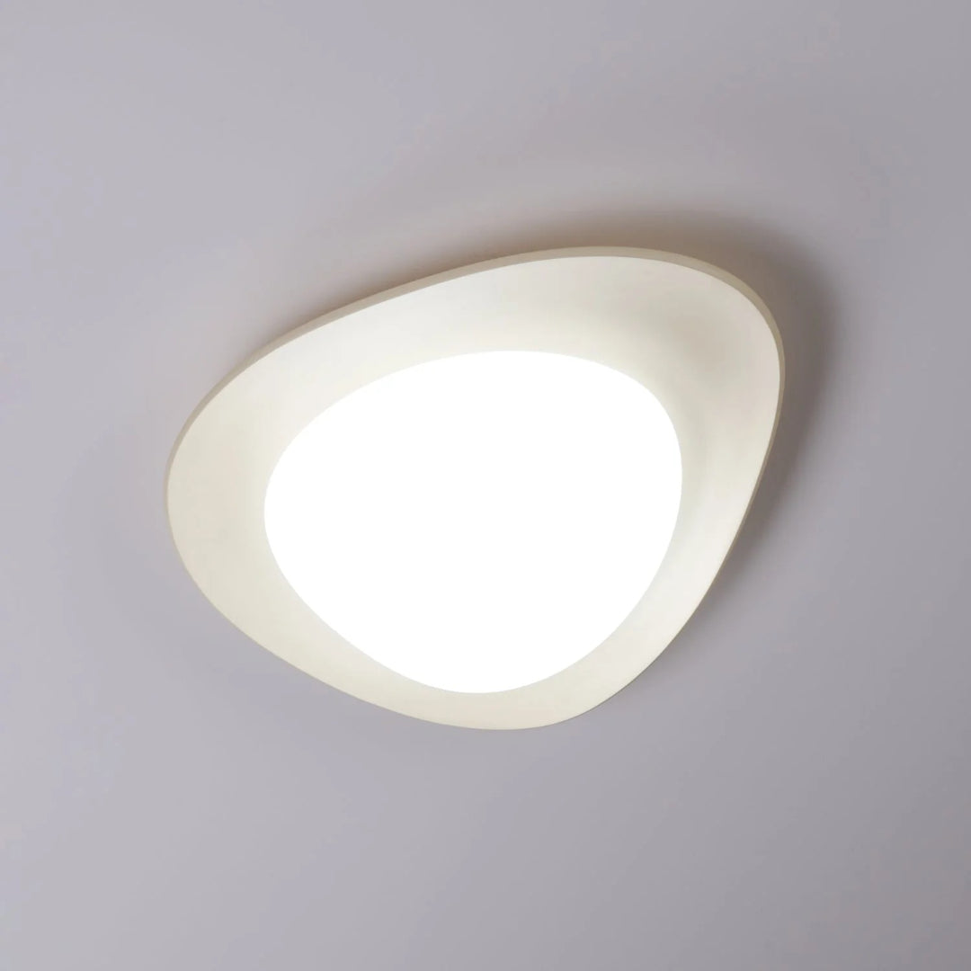 Hedendaagse Bladvormige LED Plafondlamp