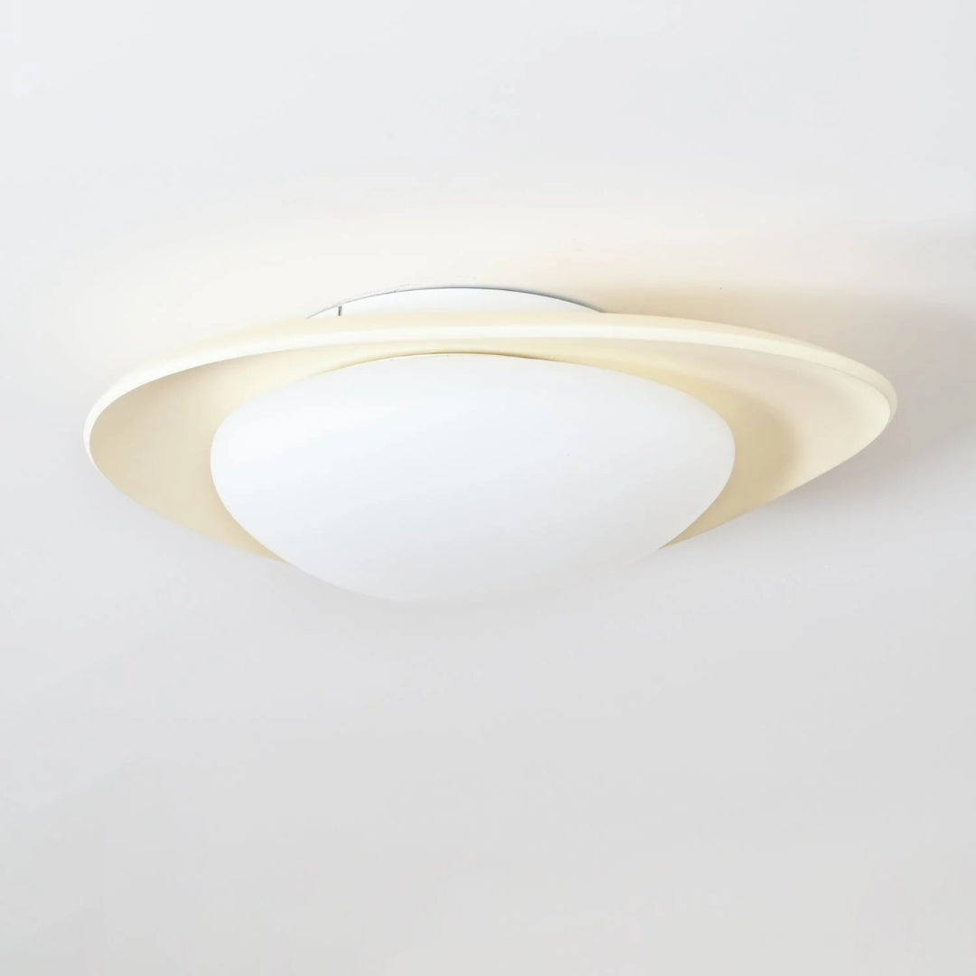 Hedendaagse Bladvormige LED Plafondlamp