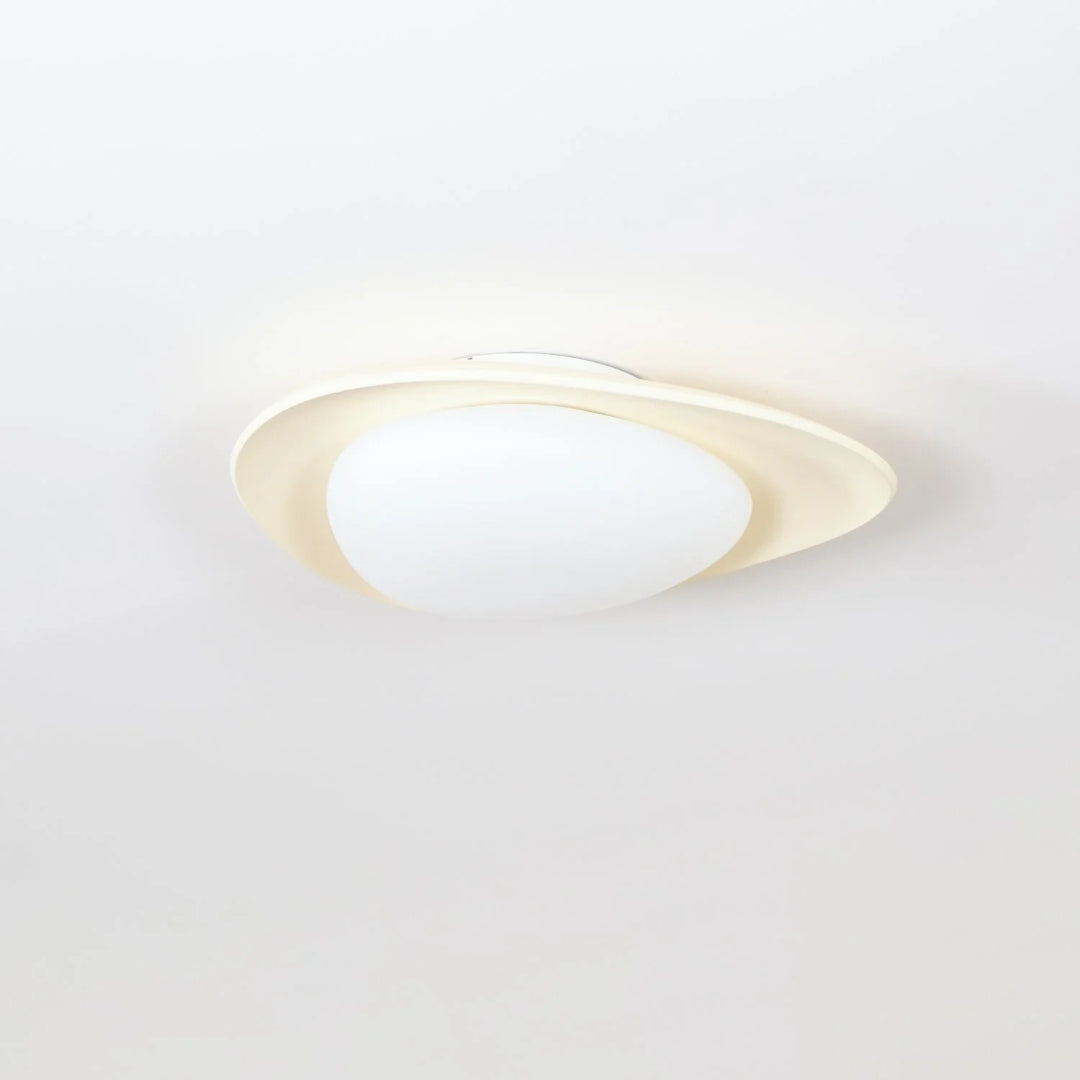 Hedendaagse Bladvormige LED Plafondlamp