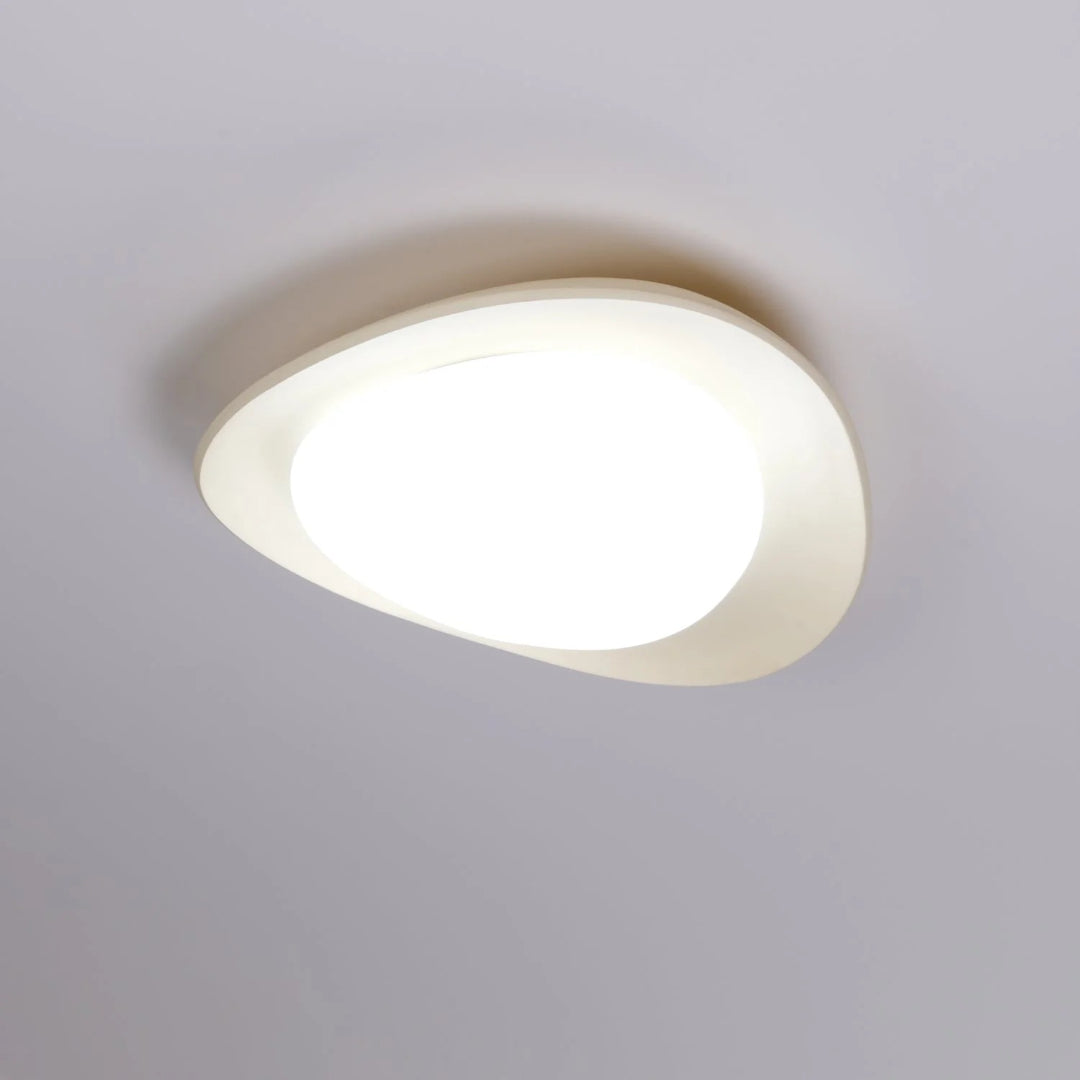Hedendaagse Bladvormige LED Plafondlamp