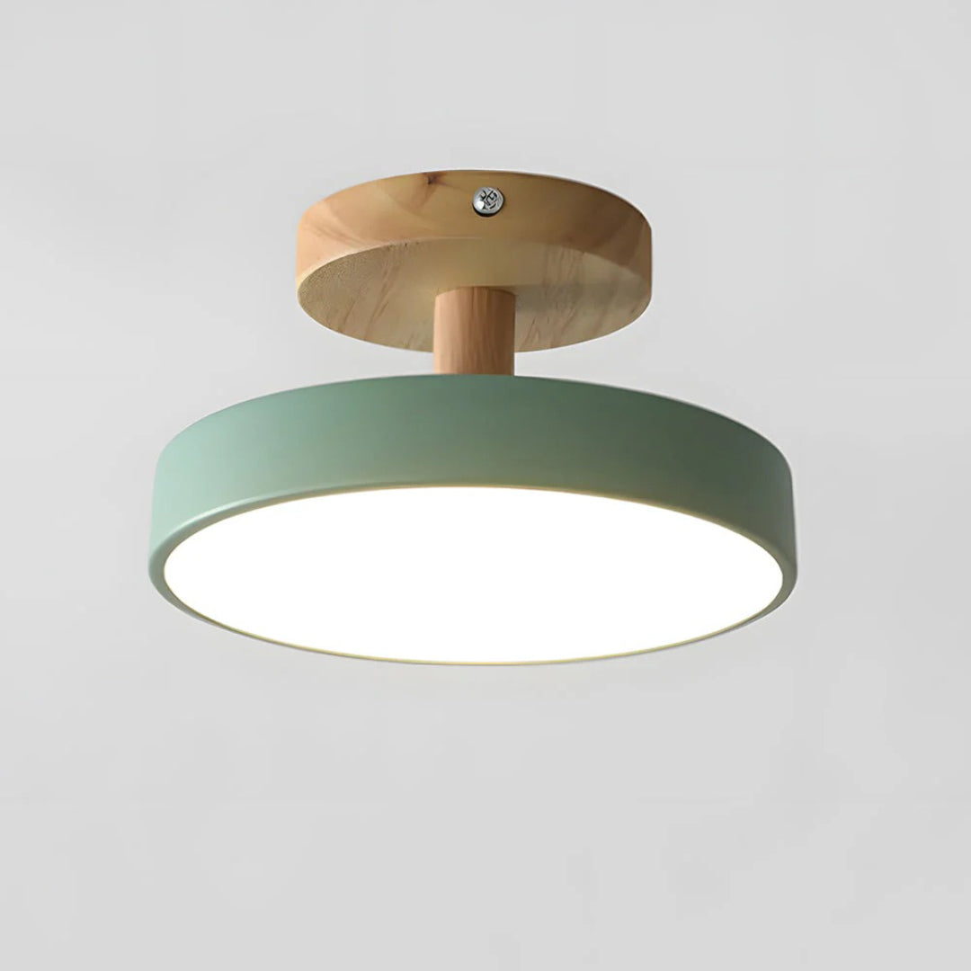 Hedendaagse ronde plafondlamp