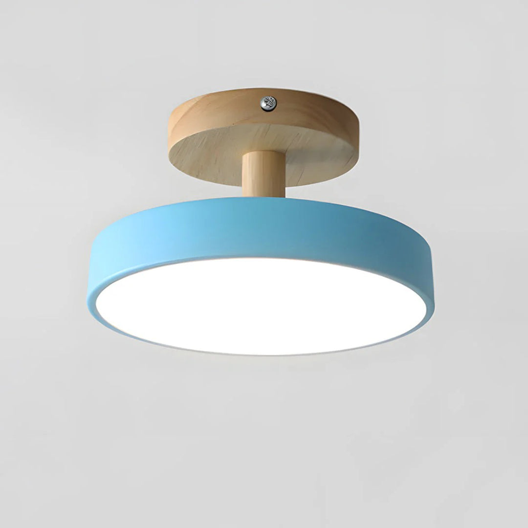 Hedendaagse ronde plafondlamp