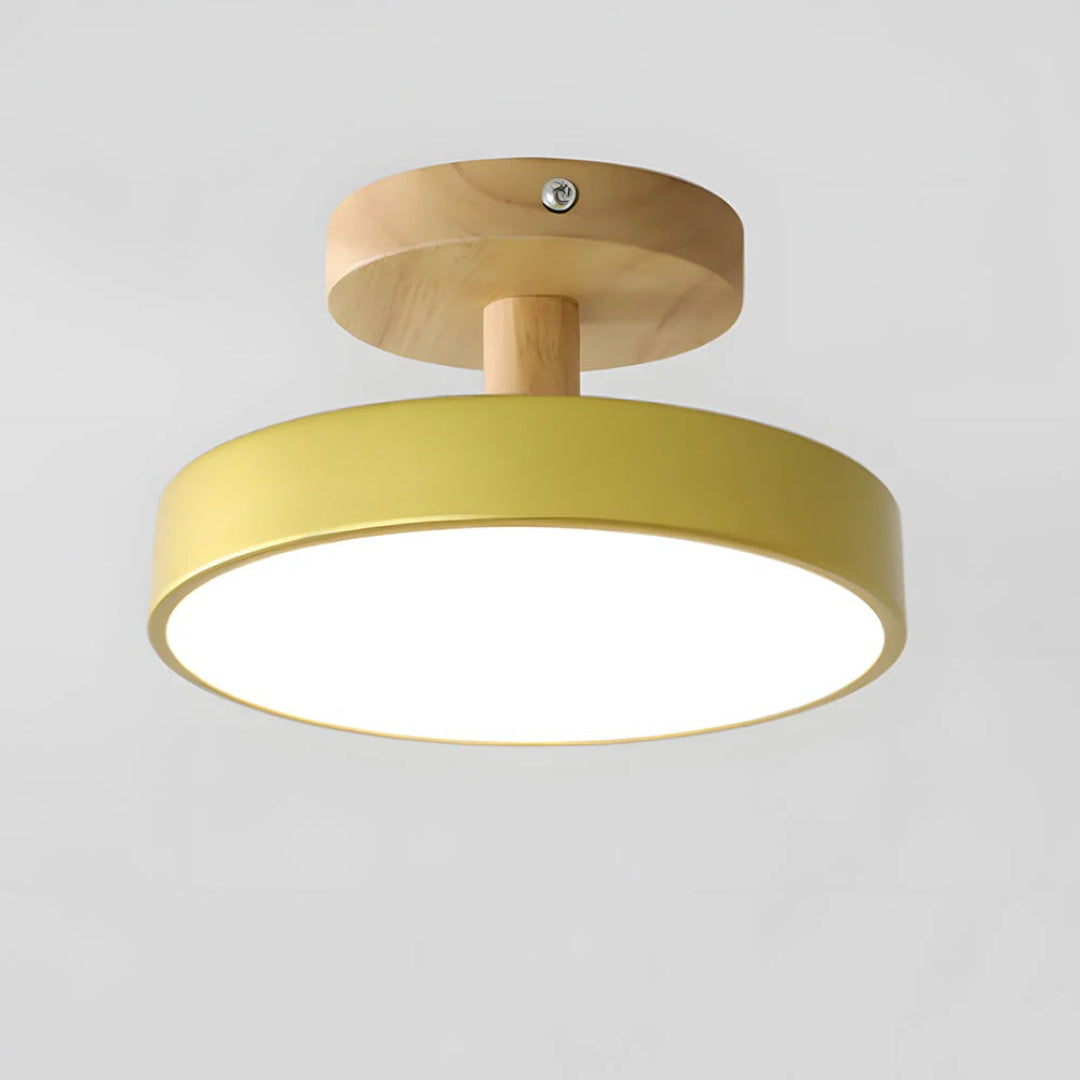 Hedendaagse ronde plafondlamp