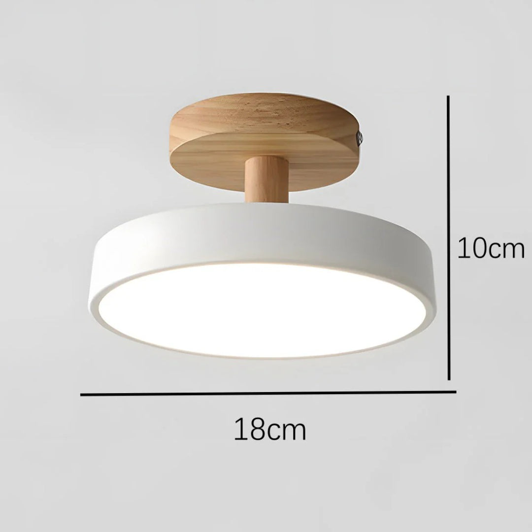 Hedendaagse ronde plafondlamp