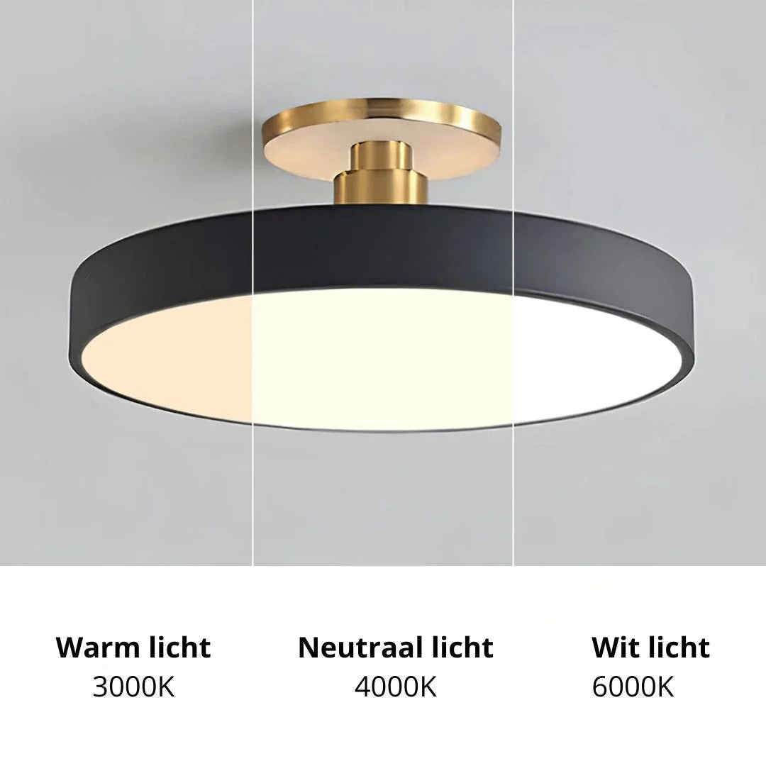 Moderne Metalen LED Plafondlamp