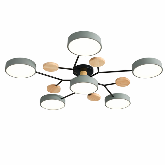 Moderne IJzeren LED Plafondlamp