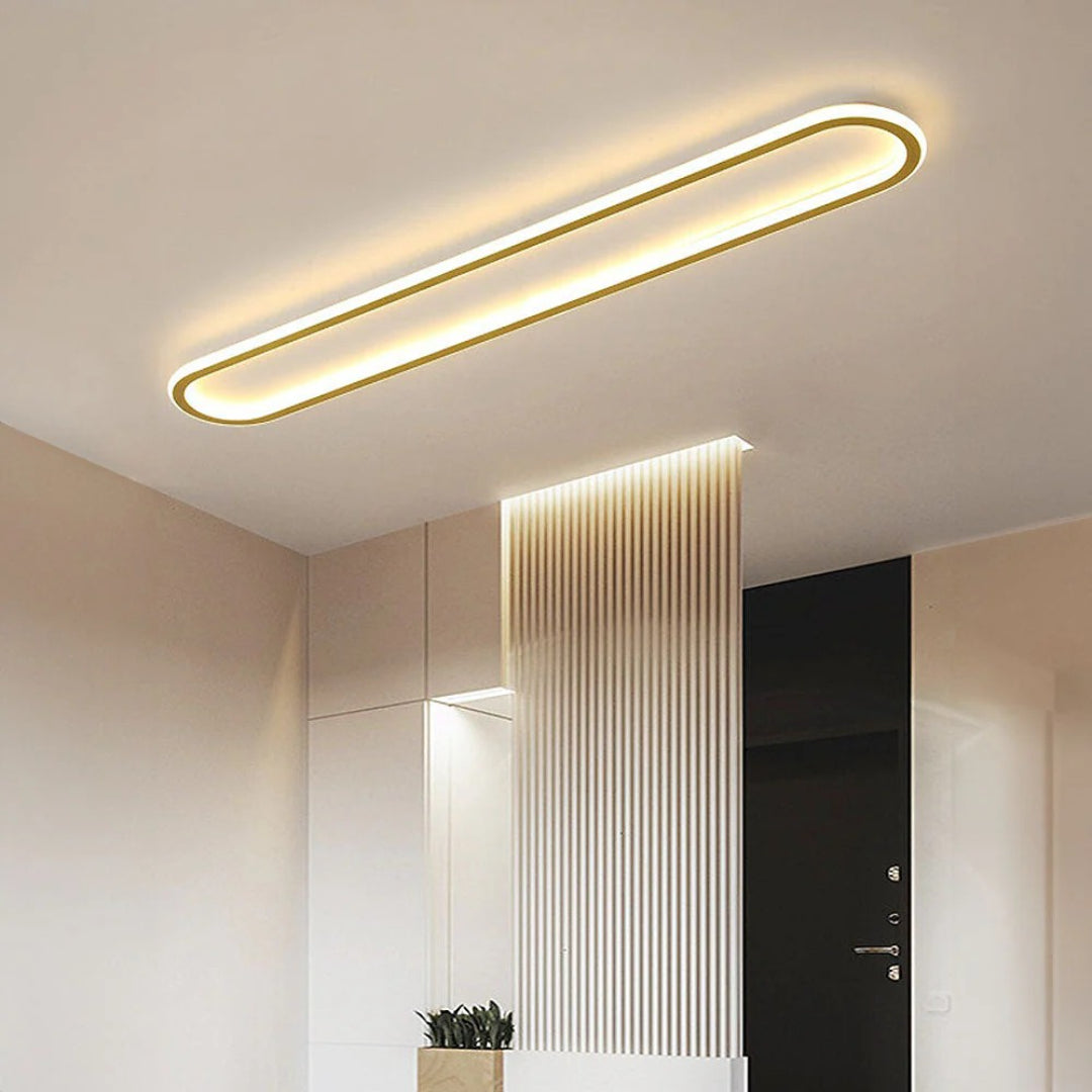 Moderne Ovale LED Plafondlamp