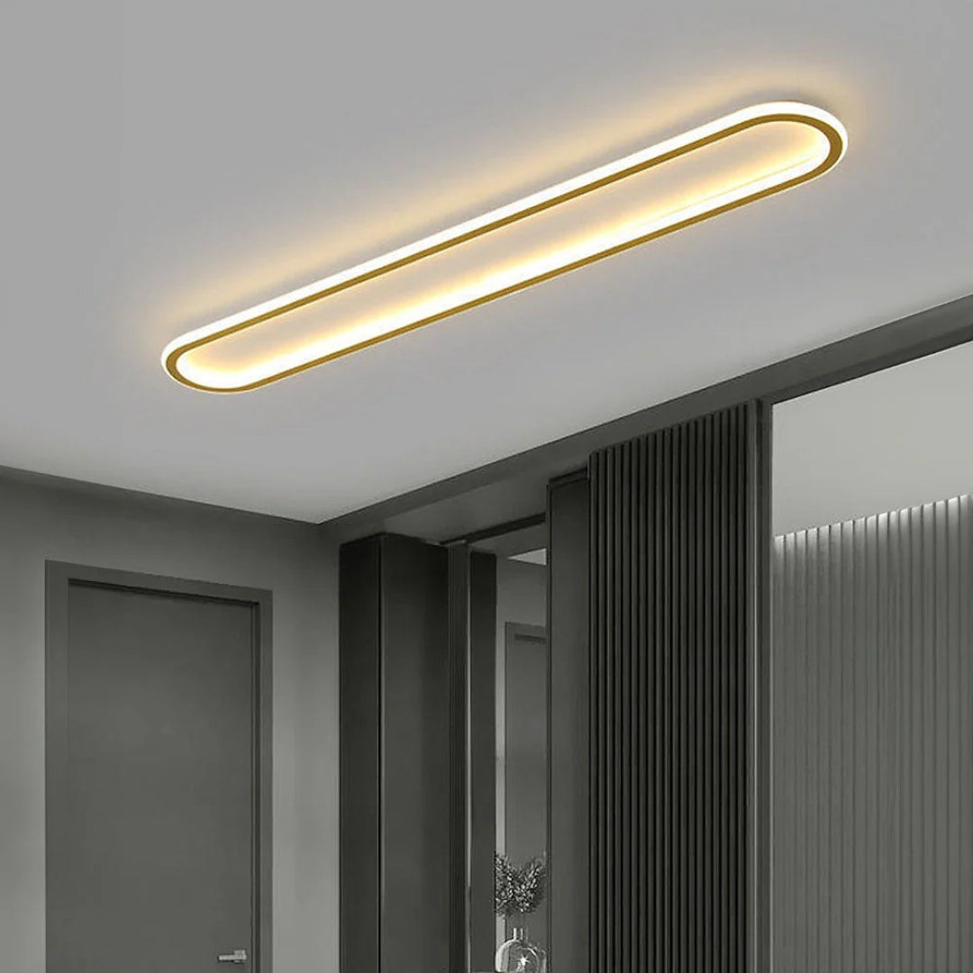 Moderne Ovale LED Plafondlamp