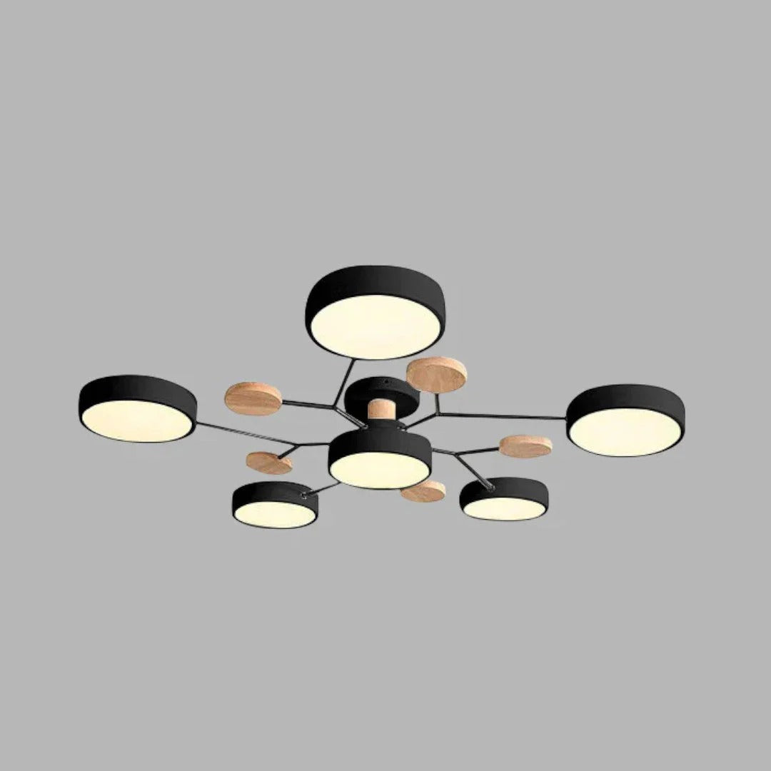 Moderne IJzeren LED Plafondlamp