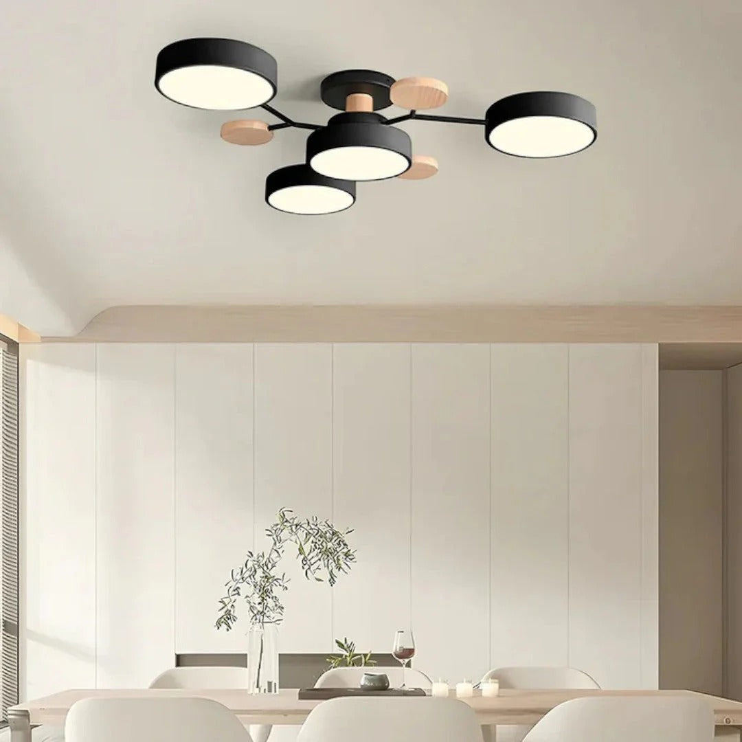 Moderne IJzeren LED Plafondlamp