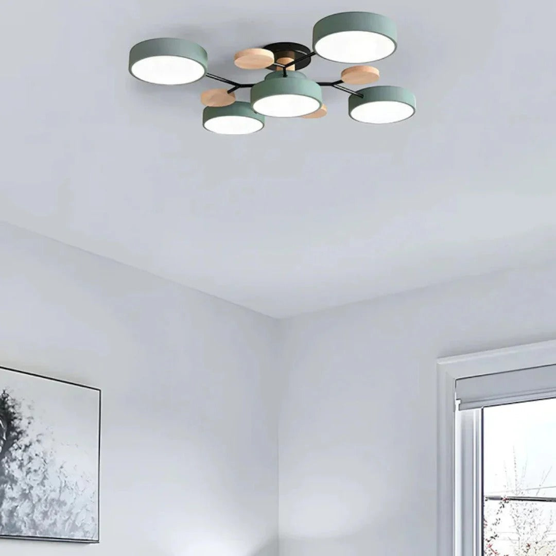 Moderne IJzeren LED Plafondlamp